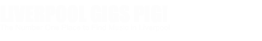 Liverpool Gigs Pig  |  Find Gigs and Music Venues in Liverpool